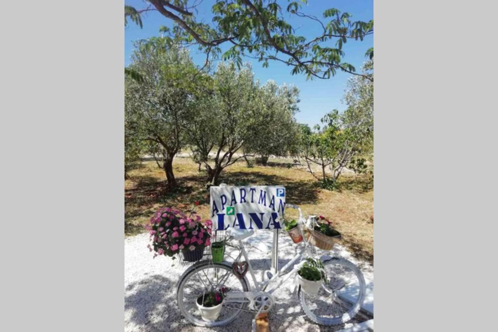 Apartman Lana Lozovac Exterior foto